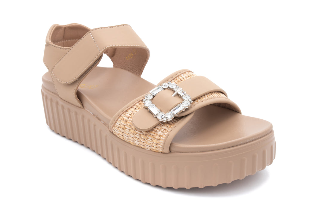 4424 CAMEL