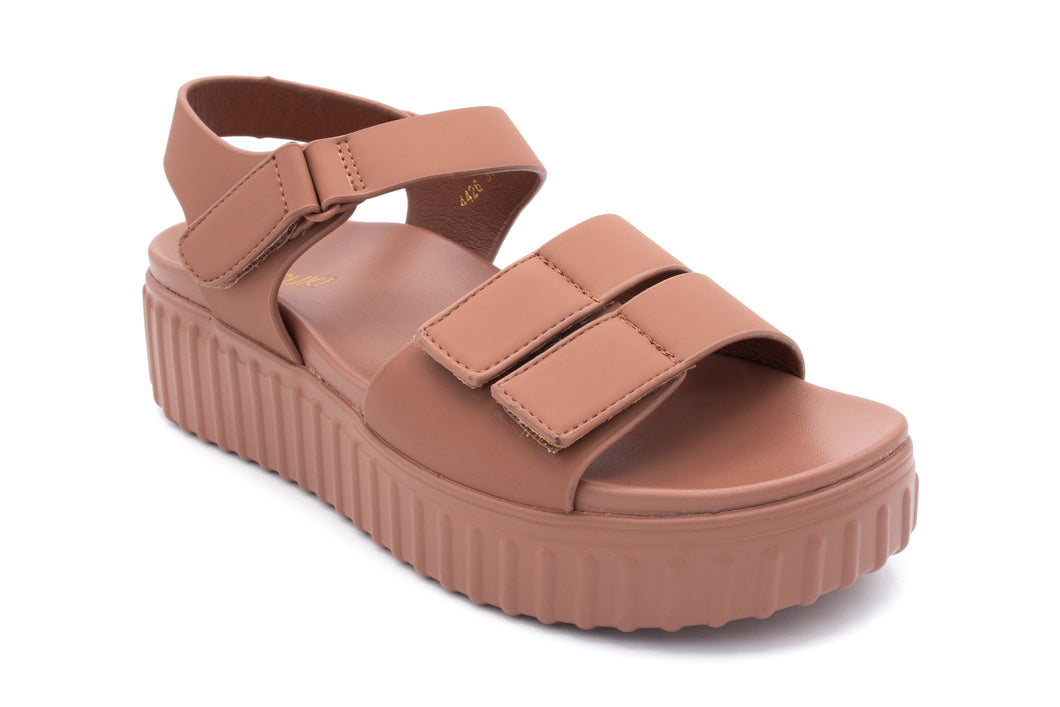 4426 BROWN